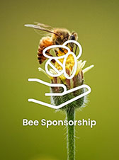 Bee Sponsorship